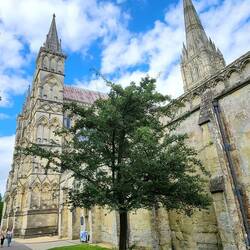 Salisbury Cathedral
