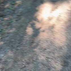 und auch ein kleines Einhörnchen haben wie im Schlossgarten entdeckt.