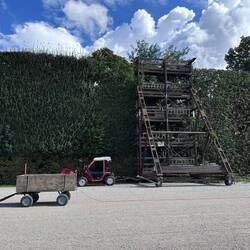 11m hohe Hecke vom Jahr 1720 wird geschnitten, Gesamtlänge 60 km 🙈😅