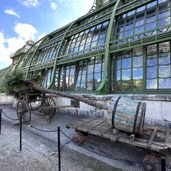 Palmentransport 1952