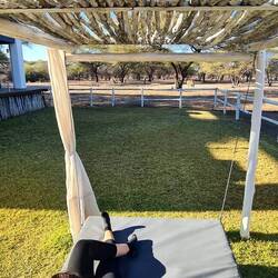 Tierbeobachtung - sehr gemütlich