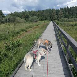 Langsam haben wir Übung 😂
