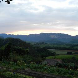 Visit to organic farm.