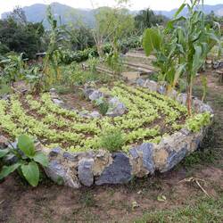 Visit to organic farm.