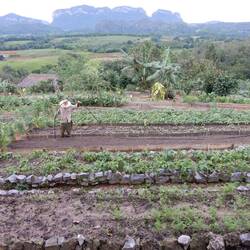 Visit to organic farm.