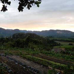 Visit to organic farm.