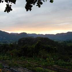 Visit to organic farm.