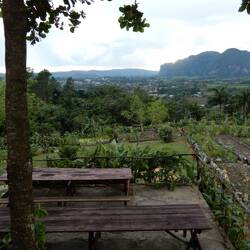 Visit to organic farm.