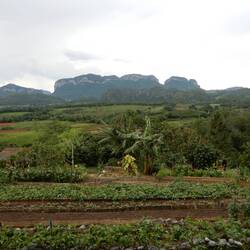 Visit to organic farm.