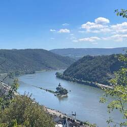 Erster Blick auf Pfalzgrafenstein