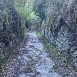 Die letzten Meter nach Lorsch