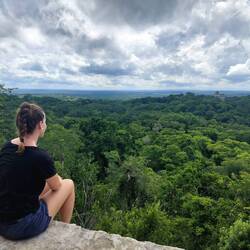 Dschungel so weit das Auge reicht 🤩