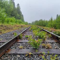 Die Bahnstrecke von Östersund Richtung Norden entlang der E45, genannt: Inlandsbanan