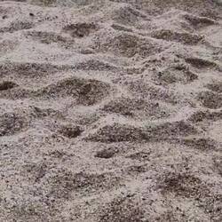 Wir nennen ihn Paul - Playa Nudista