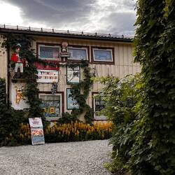 Hinterhofromantik ✨