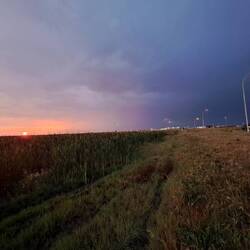 Hier sieht man den krassen Kontrast echt gut.