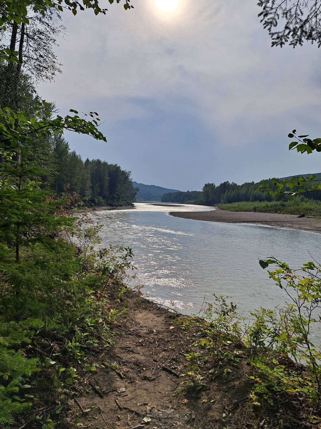 Der Peace River, in dem man noch immer nach Gold sieben kann (und manchmal sogar etwas findet)