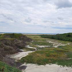 Hier sieht man die Wasserläufe gut