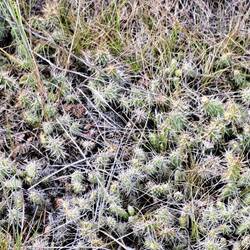 Besonders beim Pfade verlassen ist Vorsicht geboten