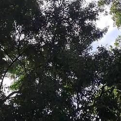 Geht ihm aus der Flugbahn; Er ist auf dem Sprung und muss Platz genug haben