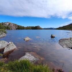 Malownicze jeziorko na mokradłach (i z muchami)