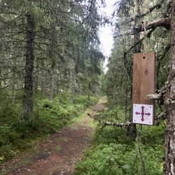 Der Nordleden präsentiert sich zunächst abwechslungsreich