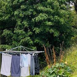 Die Wäsche wird bewacht