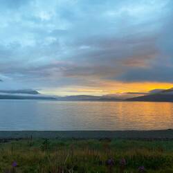 Letzter Abend in Norwegen 🇳🇴