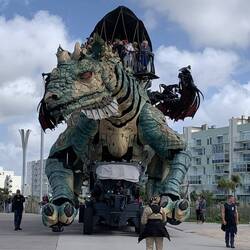 Der Drache von Calais 😱