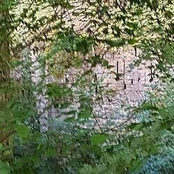 Die Schießscharten des Wehrbereichs von der Brücke aus gesehen