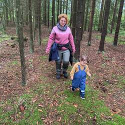 mitten durch den Wald