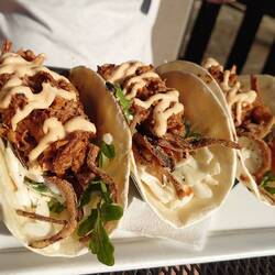 sehr feine Pulled Pork Tacos