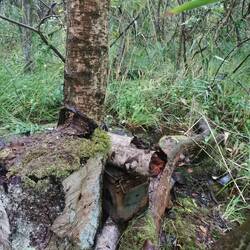 ältester Cache Dänemarks (30.9.2000)