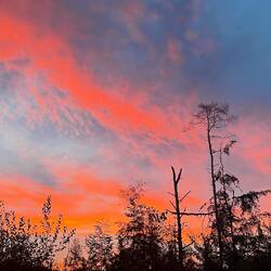 Schöne Morgenrot nach einer nicht so entdpannten Nacht