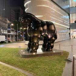 One chonky horse in front of the Central Embassy