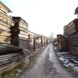 Inmitten durch eine Vielzahl von Holzstappeln verläuft der HW8