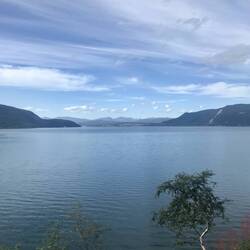 ganz dicht am Saltdalsfjorden fährt der Zug vorbei