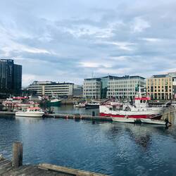 im Hafen liegen noch richtige Fischerboote