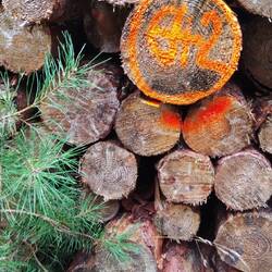 Wer zählt denn die??