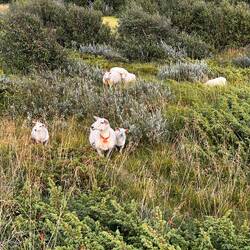 Der Rest versteckt sich noch...