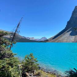 Bow Lake