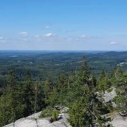 im Westen Bäume, im Osten Inseln & See