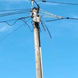 Spinnennetz oder Stromnetz, das ist hier die Frage