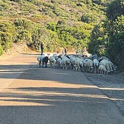 High on a hill was a ....