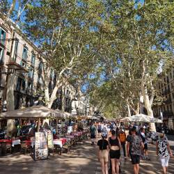 Die Straße La Rambla