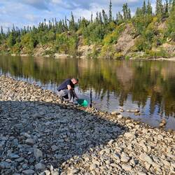 Leider ohne Erfolg..