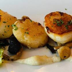 Scallops (Jakobsmuscheln) in Butter gebraten mit Pilzen