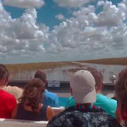 Mitten in den Everglades