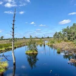 Im Pietzmoor sind bis heute viele dieser rechteckigen Abbaubecken deutlich sichtbar