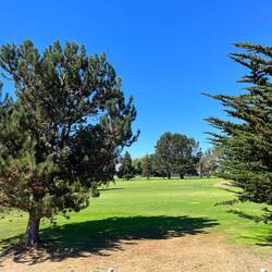 Golfplätze gibt es auch